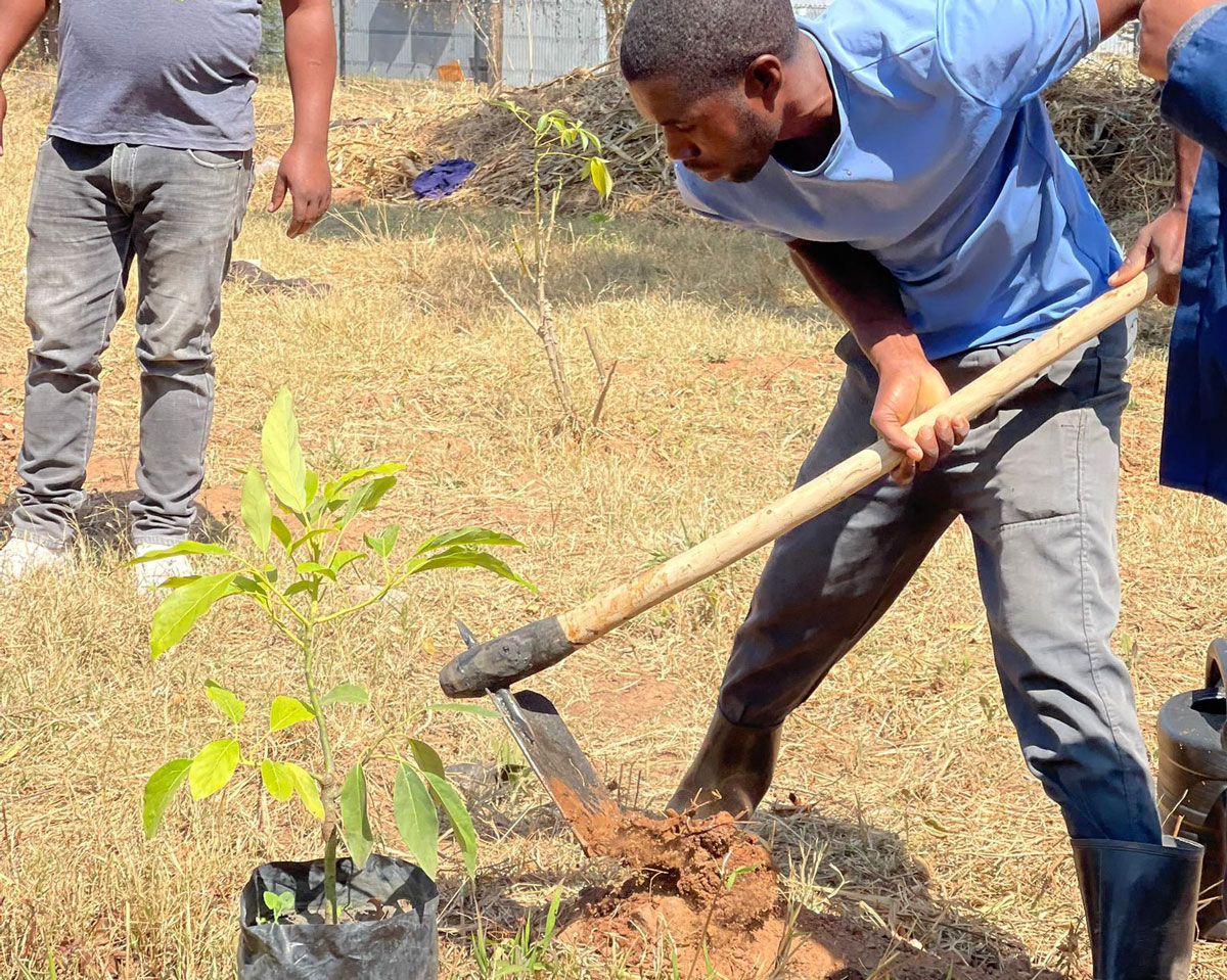 International Youth Day 2025 — Tree Planting