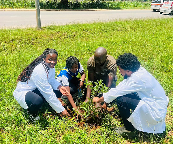 Green Sprout / Gaula Garden